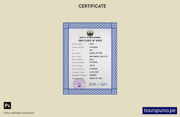 listo para imprimir plantilla PSD de certificado de nacimiento de registro vi 28